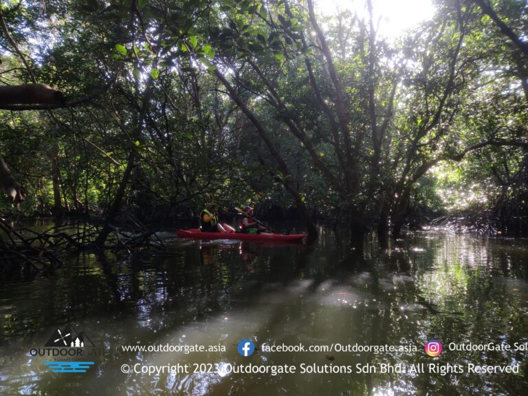 Mangrove kayaking at Tanjung Mas Batu Dua