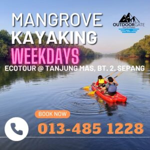 weekdays mangrove kayaking at tanjung mas batu dua sepang