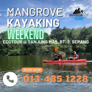 weekends mangrove kayaking at tanjung mas batu dua sepang