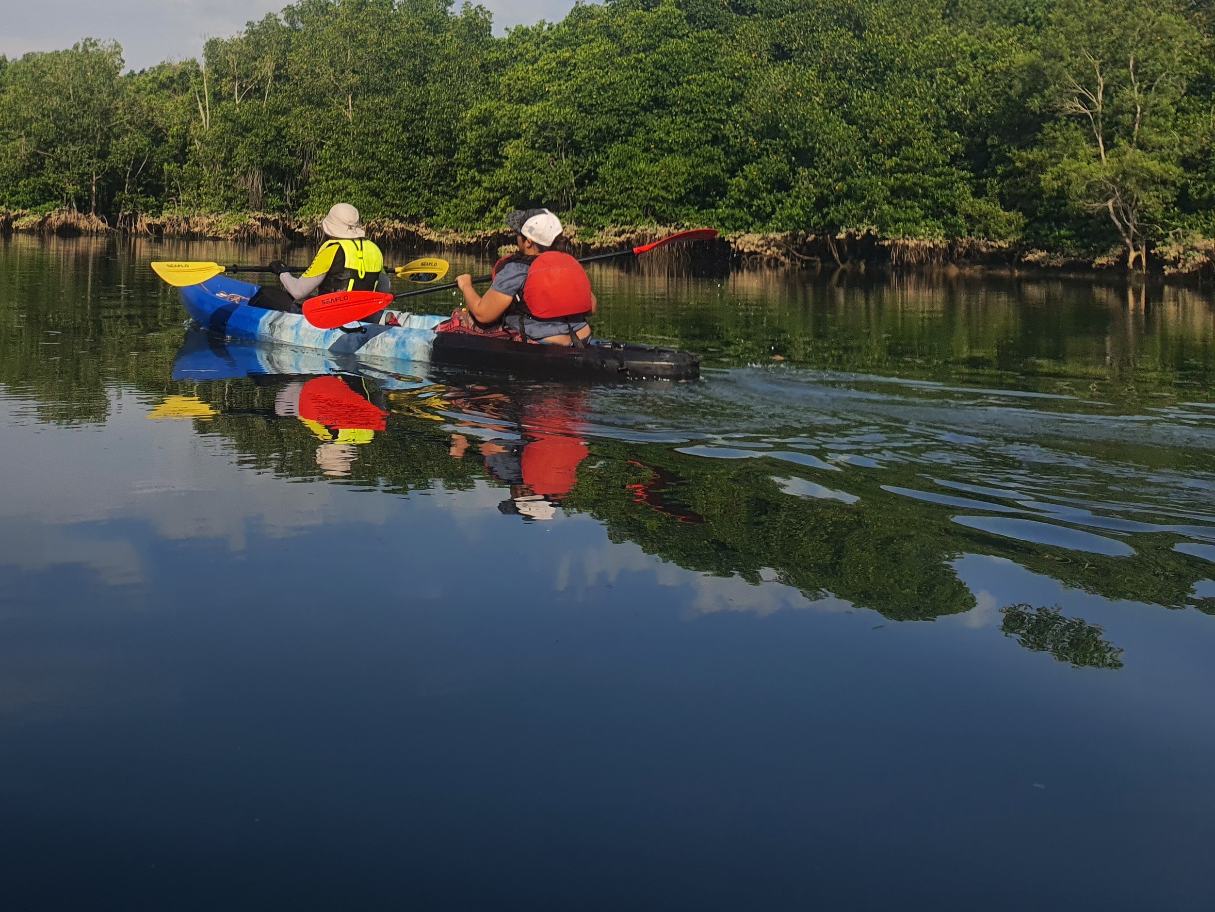 4 Benefits of Kayaking in Selangor and Touring the Mangroves of Sepang