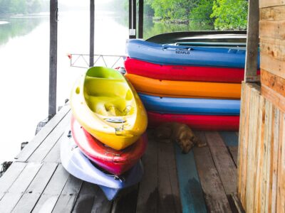 Kayaks needed for mangrove tour